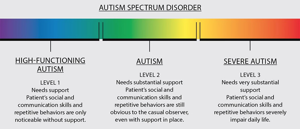 Autism Spectrum Levels